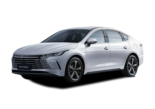 BYD King GS 2026/2027